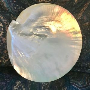 Large pearl nautilus shell dish with feet set of 2